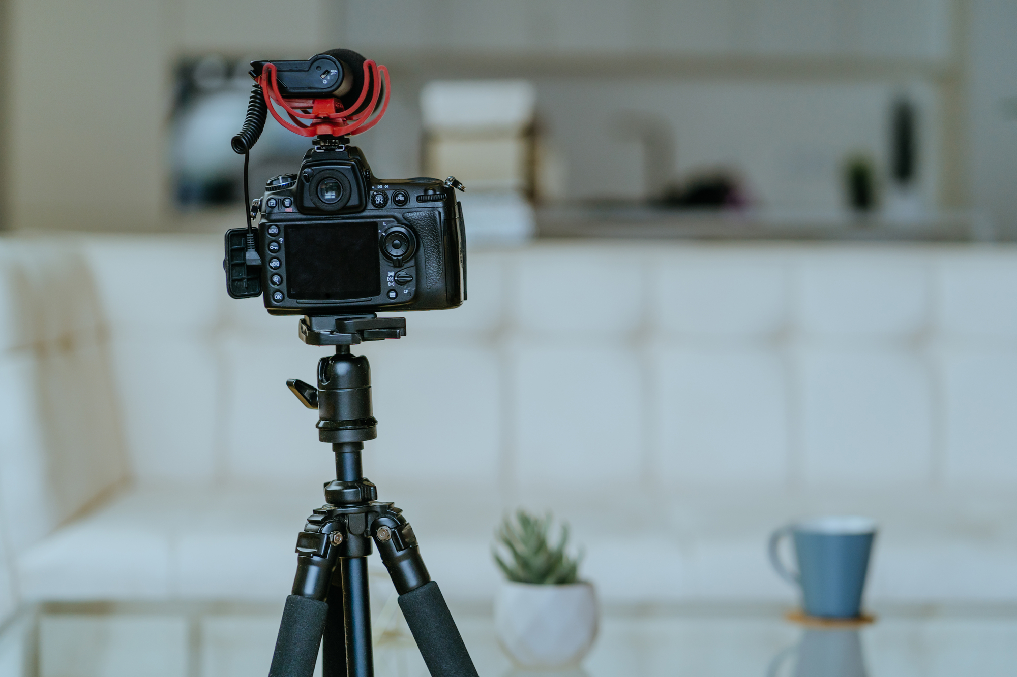 Camera with microphone on the tripod in the living room